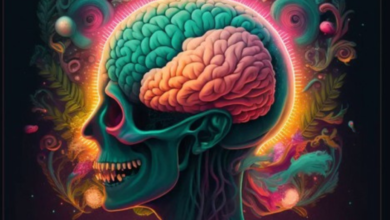 kognitive dissonanz